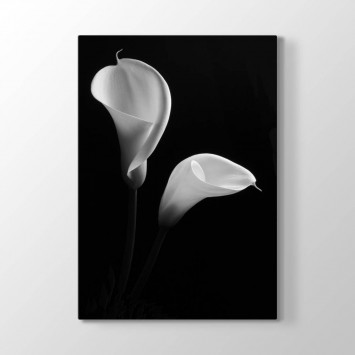 Barış Çiçeği Siyah Beyaz Tablosu